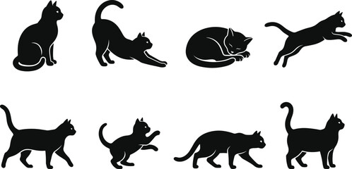 Fototapeta premium Set of black cat silhouettes in various positions including sitting stretching sleeping jumping walking playing and standing isolated on white background