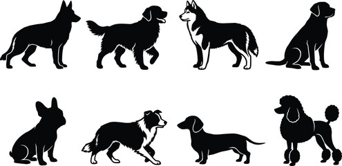 Vector silhouettes of diverse popular dog breeds isolated on a white background graphic icon set for pet care © SONET