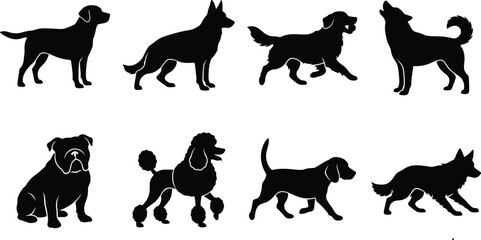 Vector silhouettes of various popular dog breeds isolated on a white background icon set for pet care concepts © SONET