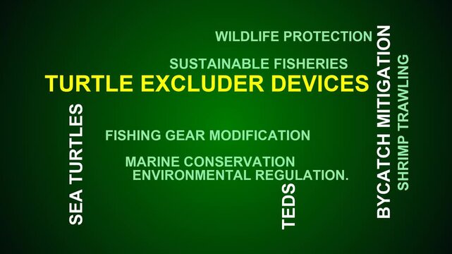 Turtle Excluder Devices Word Cloud