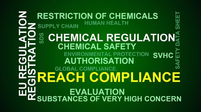 Reach Compliance Word Cloud