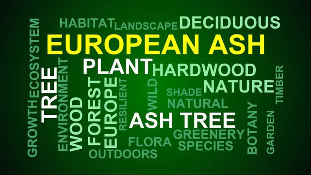 European Ash Word Cloud