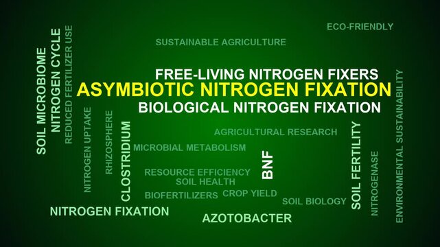 Asymbiotic Nitrogen Fixation Word Cloud