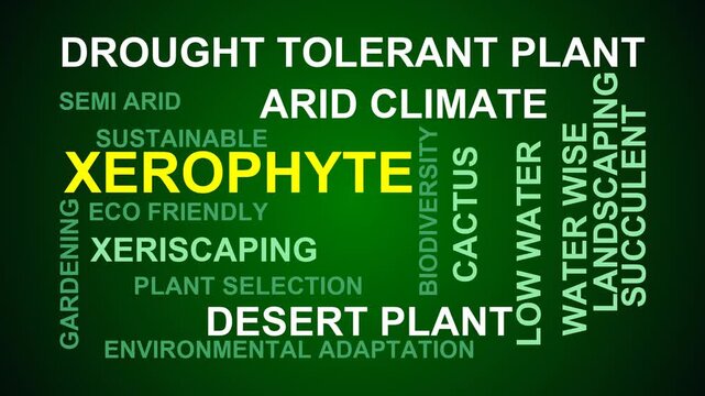 Xerophyte Word Cloud