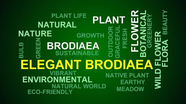 Elegant Brodiaea Word Cloud