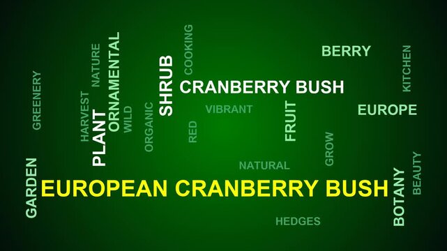 European Cranberrybush Word Cloud