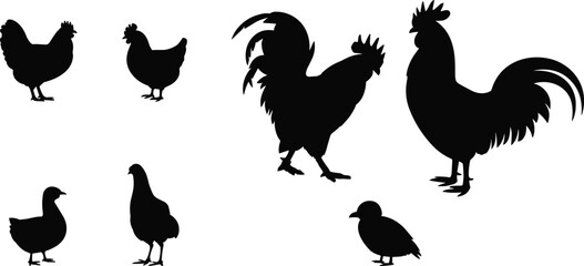 Set of black poultry silhouettes including roosters hens and chicks isolated on white background for farm and agricultural design © Sreekhamol