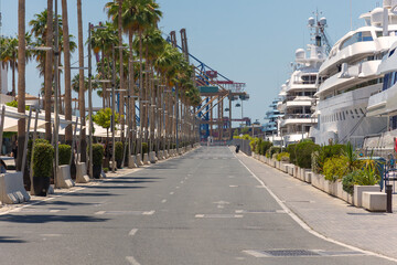 Promenada w porcie w Maladze z jachtami i palmami © Grzegorz Polak