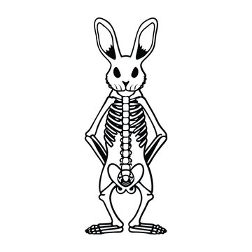Bunny Skeletal Structure Silhouette Vector Art
