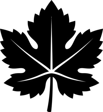 Grape leaf vector icon, nature and wine symbol