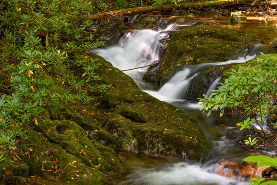 Beautiful running water found in Lamar Alexander State Park