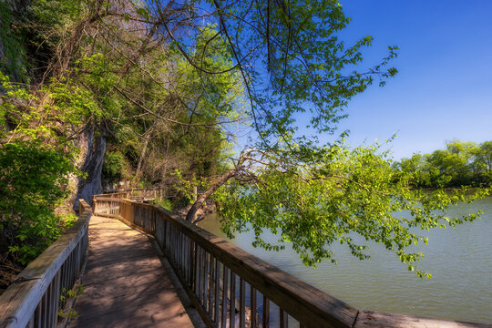 Ijams Public Park along the Tennessee River in Knoxville, Tennessee.