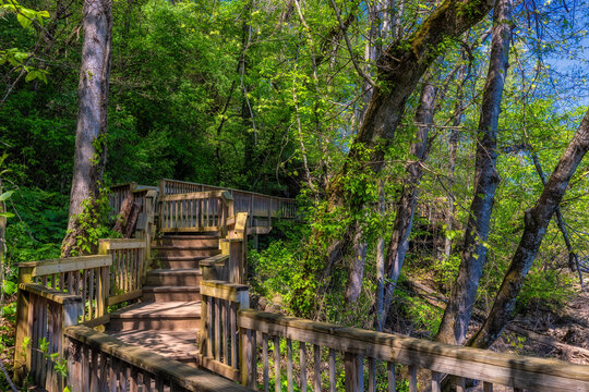 Ijams Public Park along the Tennessee River in Knoxville, Tennessee.