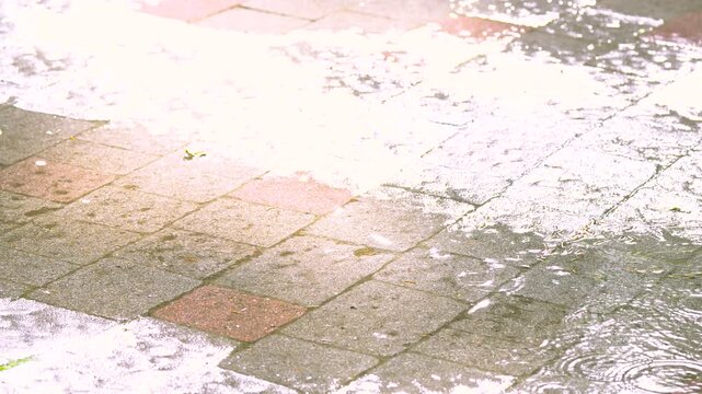 Summer rain and puddles on city cobblestone pavement during day
