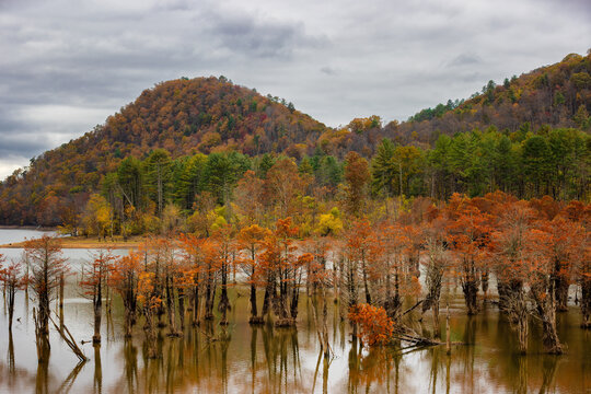 Autumn at Watauga Lake in Cherokee National Forest in Tennessee, USA