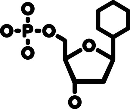 DNA Nucleotide Structure, Phosphate Group, Sugar Ring, and Nitrogenous Base