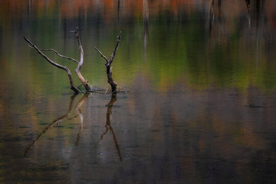 Autumn at Watauga Lake in Cherokee National Forest in Tennessee, USA