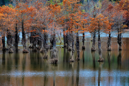 Autumn at Watauga Lake in Cherokee National Forest in Tennessee, USA