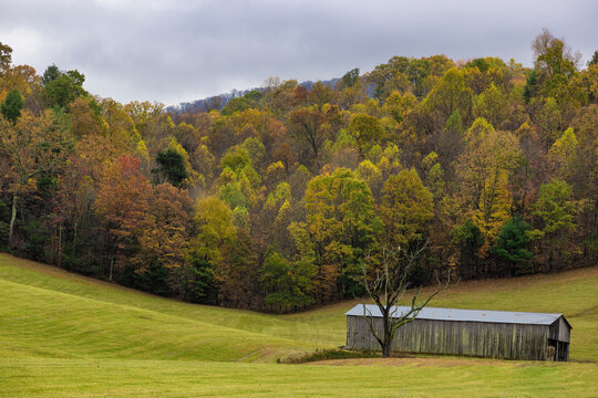 Autumn at Watauga Lake in Cherokee National Forest in Tennessee, USA
