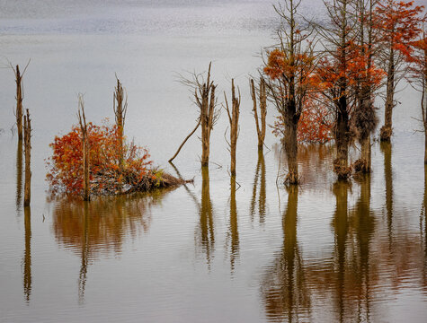 Autumn at Watauga Lake in Cherokee National Forest in Tennessee, USA