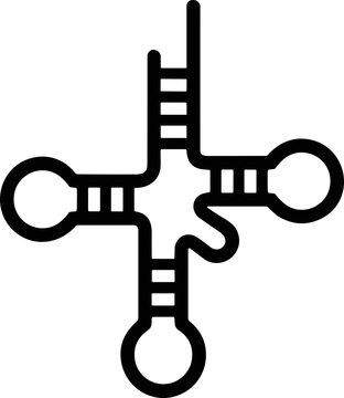 Transfer RNA (tRNA) molecule, simplified illustration of a cloverleaf structure