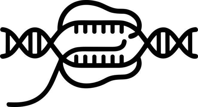 DNA Transcription Process: RNA Polymerase Reading Genetic Code