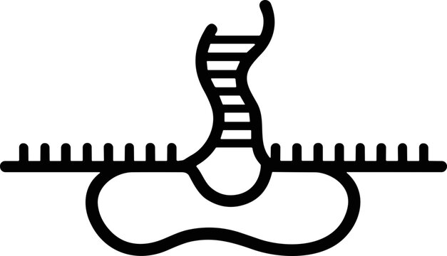 DNA Replication Fork and RNA Primer Formation