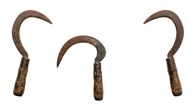 Set of 3 multi-angle views of sharp medieval hand sickle curved blade agriculture grass cutting tool, transparent background, PNG