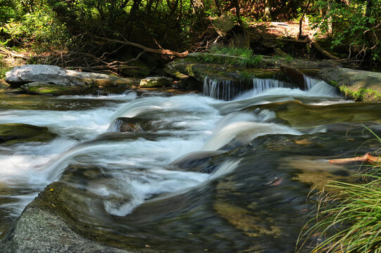 Rapids in a mountain river stream, French Broad River NC Blue Ridge Mountains 