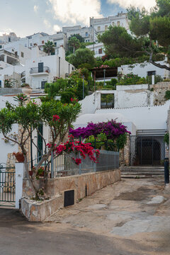 Scorcio di Peschici - Foggia - Puglia - Italia