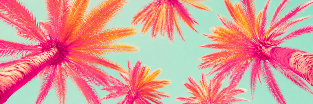 Vibrant pink and orange palm trees viewed from below against a pastel mint sky in a bold tropical pop art style.