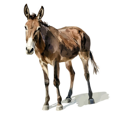 Mule, watercolor vector portraying a joyful pose with colorful highlights, isolated on a white background.