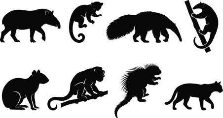 Obraz premium South American Wildlife Animal Silhouette Collection Featuring Exotic Mammals and Forest Species Bundle