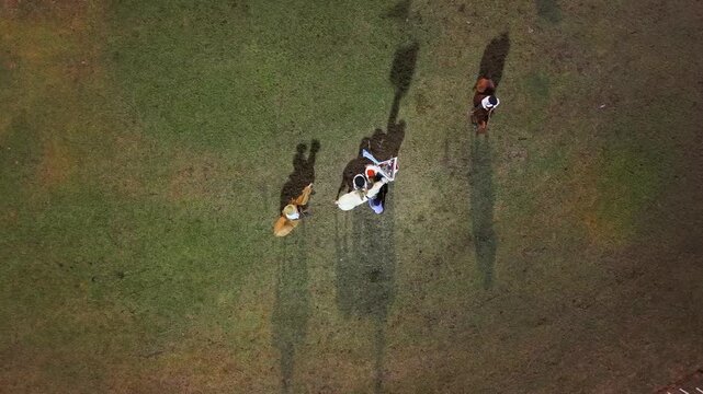 Jineteada gaucha en fiesta popular argentina, tradici&oacute;n criolla y destreza ecuestre en el campo