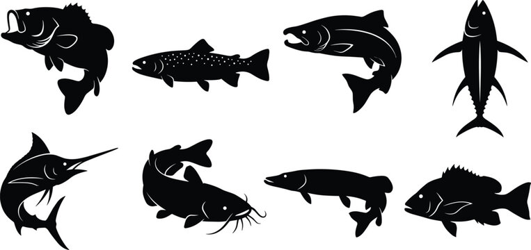 Fish species vector silhouette icon set featuring bass trout salmon tuna marlin catfish pike and perch for fishing