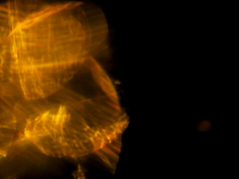 Abstract bokeh light burst in warm golden tones. Blurred glowing orb with radiant streaks and soft background. Perfect for creative projects needing dreamy, energetic atmosphere