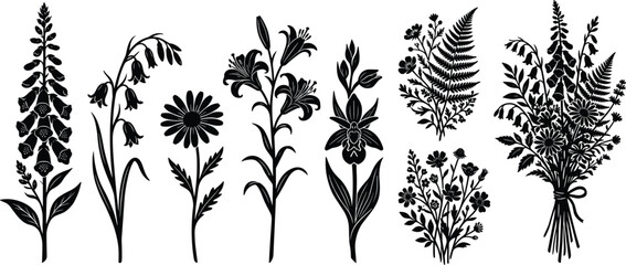 Vector silhouettes set of wildflower elements including foxglove bluebells daisy lily orchid fern fronds and elegant floral bouquets © ARNAB