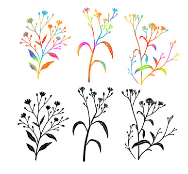Minimalist daisy like flowers with foliage botanical vector of coreopsis flower line art flower stellarria Wildflower garden plant life coreopsis tickseed illustration Stock Vector