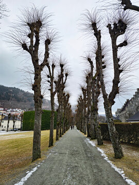 Beautiful photos of Begen in Norway, featuring the sea, panoramic views, Bergen, and churches, taken on a beautiful, sunny winter day