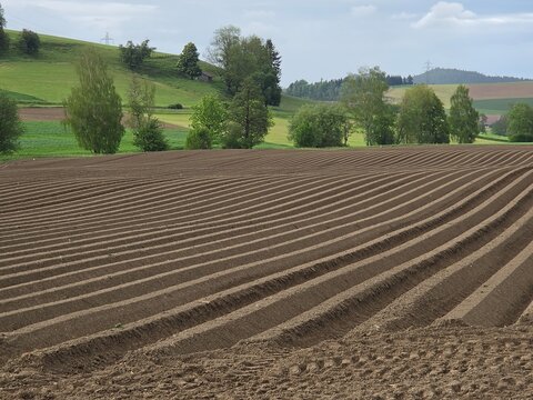 gepfl&uuml;gtes Feld im Fr&uuml;hling 