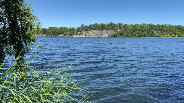 Nature during one Swedish summer day in June. At lake Brunnsviken, Hagaparken, Solna, Sweden.