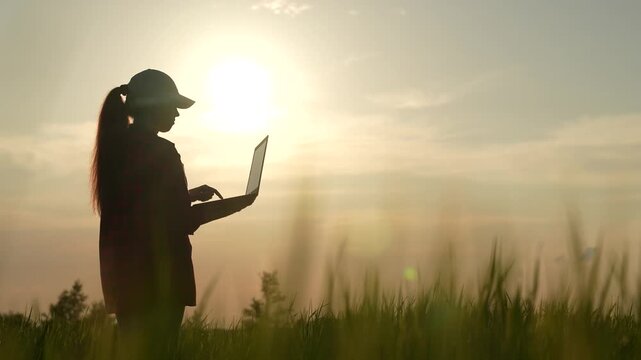 farmer silhouette work field laptop, sunset, farming, laptop, technologies, print hand keyboard, internet, purchase, view, problem, banker, happiness, cultivates, indian, hand, field business summer