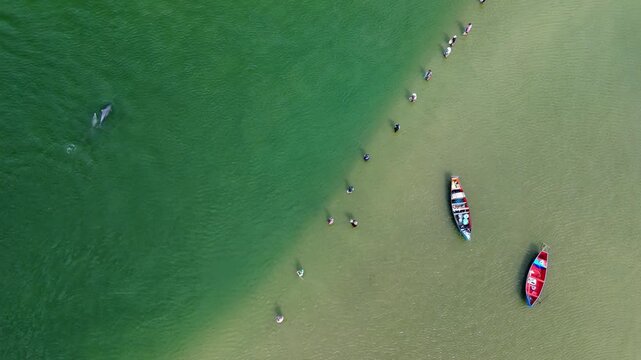 Fishing with dolphins, authentic fishing tradition in Brazil. Aerial view of the group of fishermen collaborating and fishing together with dolphins