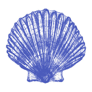 Hand Drawn Chalk Texture Blue Mediterranean Scallop Shell. Whimsical Crayon Pencil Sketch Ribbed Clam Fan Pecten Bivalve Seashell Clipart Element. Coastal Marine Scrapbook Graphic. Vector Illustration