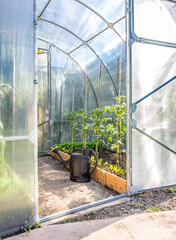 Greenhouse in back garden with open door and bailer © Maria
