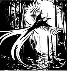 Bird of Paradise: The Most Beautiful Bird in the World © Tri W