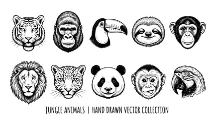 Fototapeta premium Jungle animals hand drawn vector collection