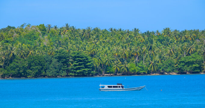 Surf boat taxi rests on calm blue water with dense wall of palm trees stretching along the beach. Quiet beauty of tropical coastline in West Sumatra, famous tourist destination for adventurous surfers