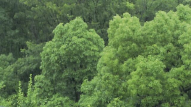 Tokyo,Japan - June 18, 2026: Heavy rain  in the morning