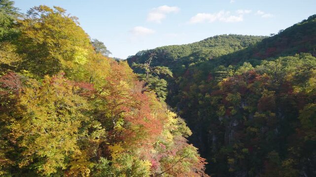 紅葉の名所 秋の鳴子峡の風景　Autumn scenery of Naruko Gorge, a famous spot for autumn foliage.
